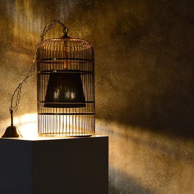 Závěsné svítidlo Bird Cage -1 - L - 2